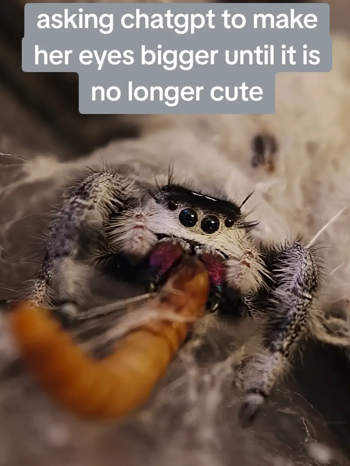 @Bestiesbeasties