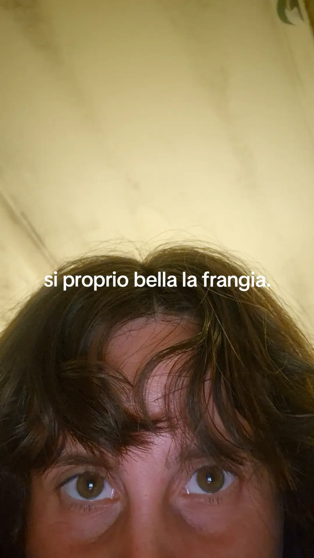 @Grazia Castiello