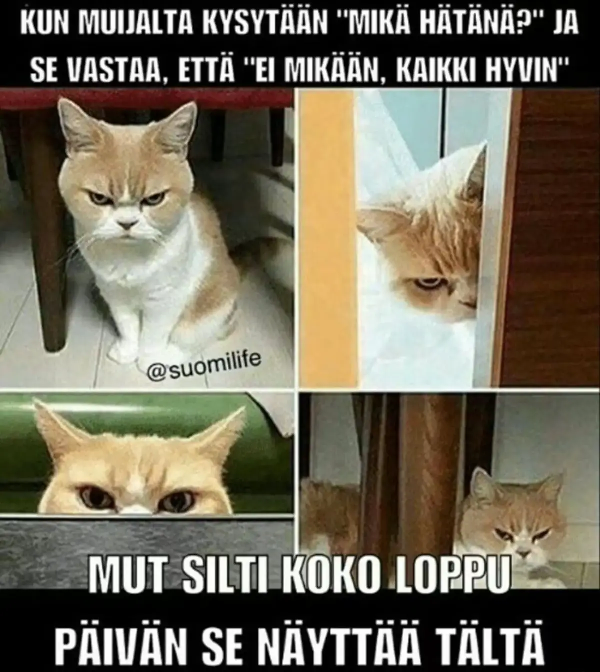 @Tuija