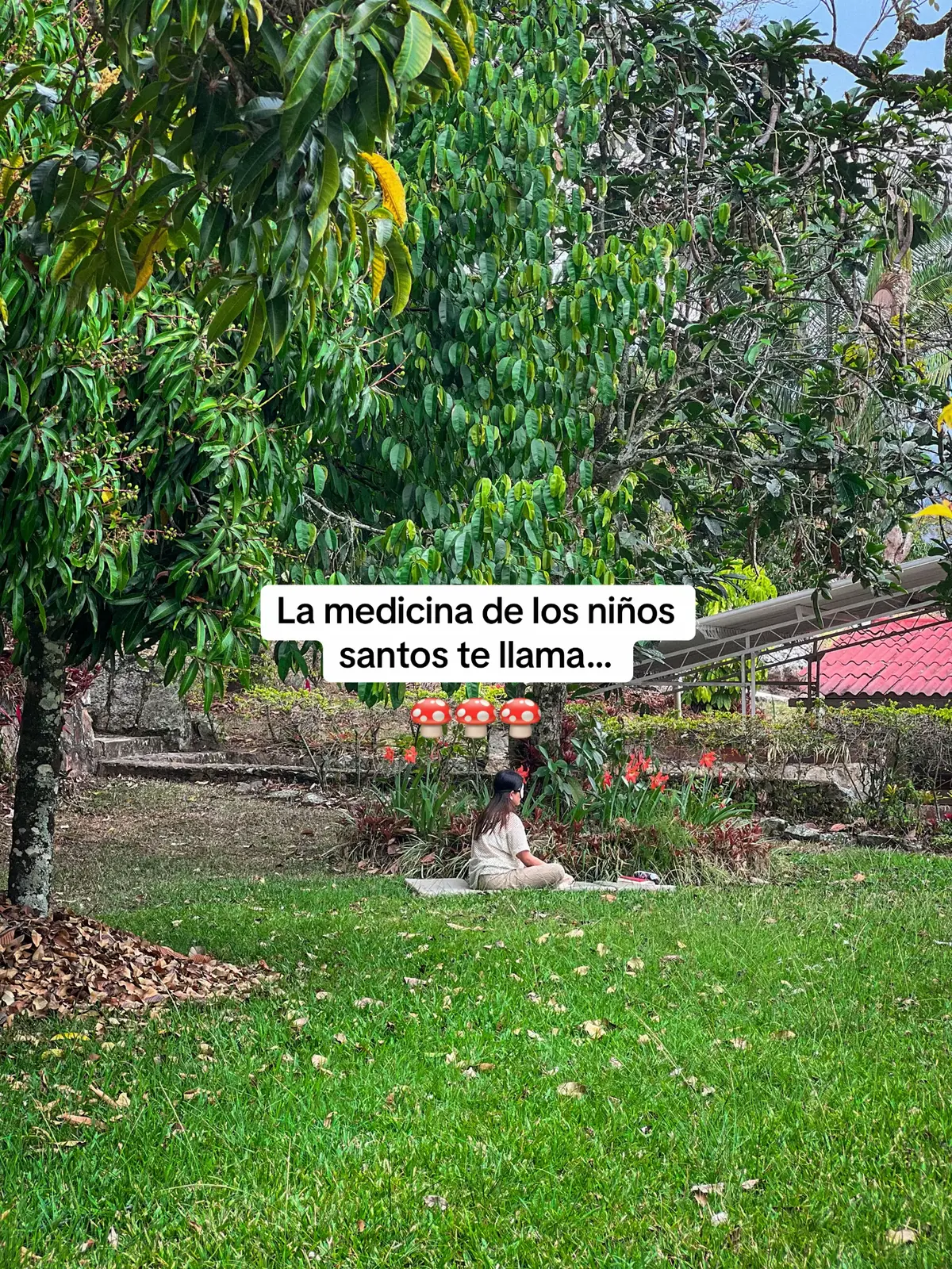@Santiago Guerrero