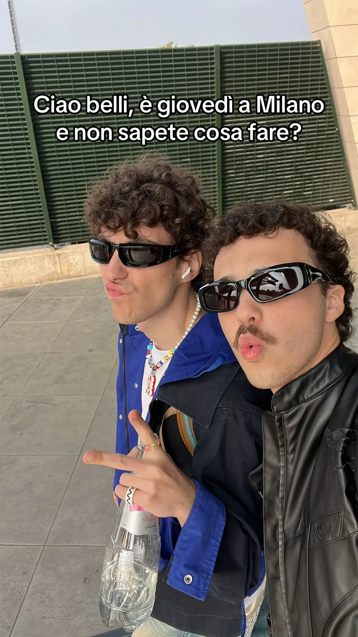 @Curly Brothers