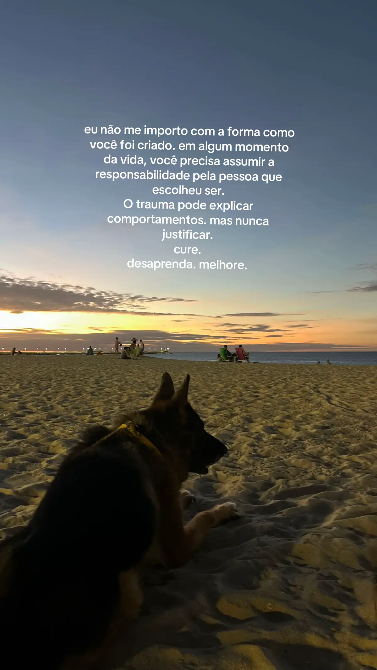 @karine andrade