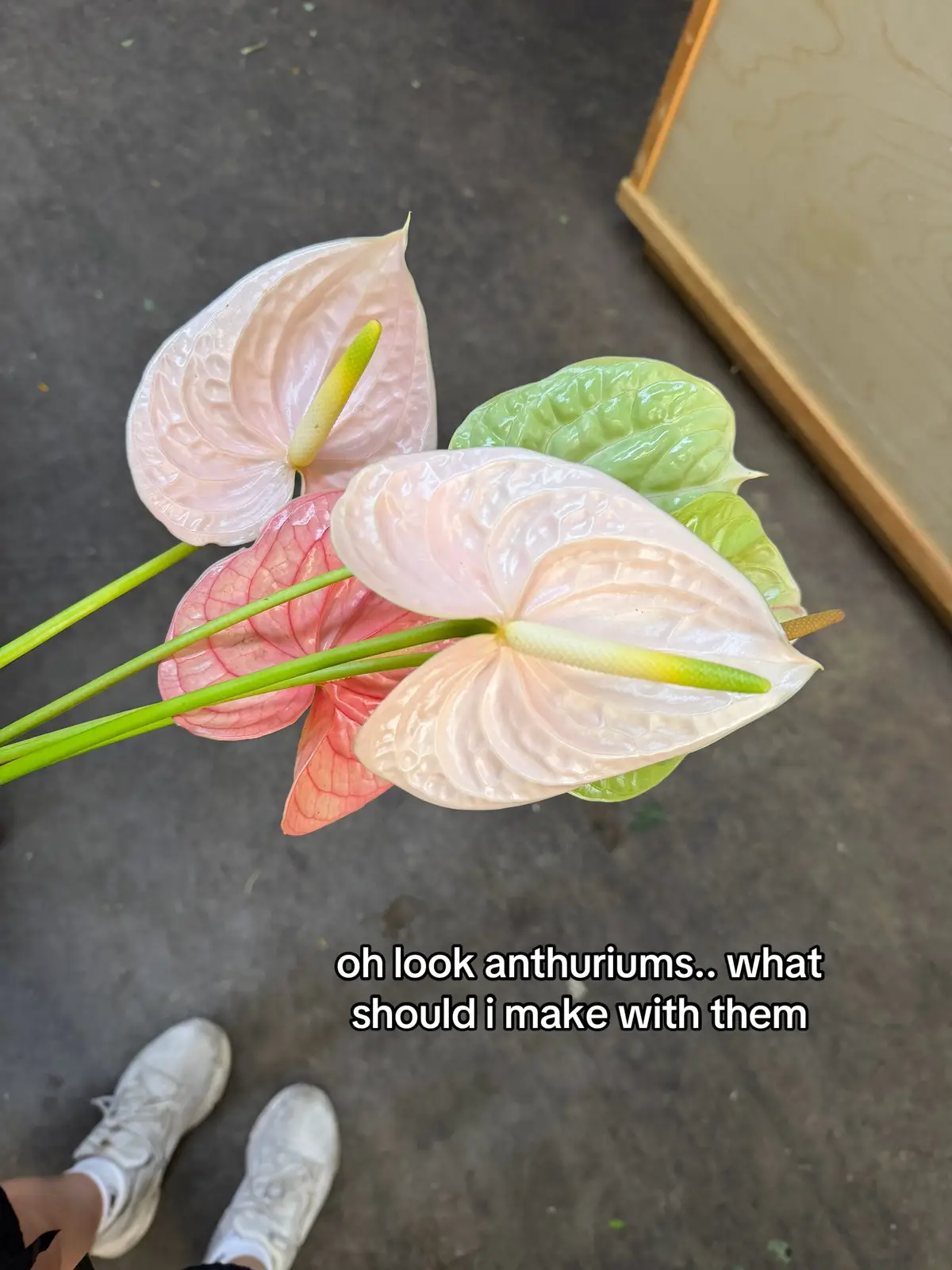 @Sarah | Los Angeles Florist ❀