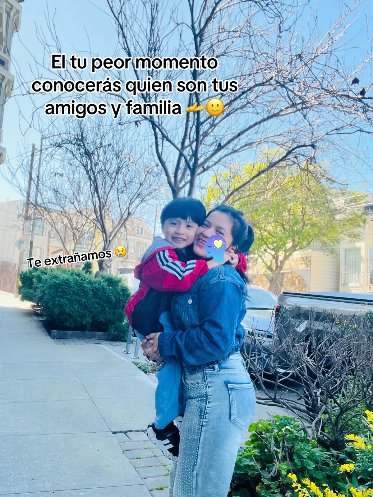 @elvita1242