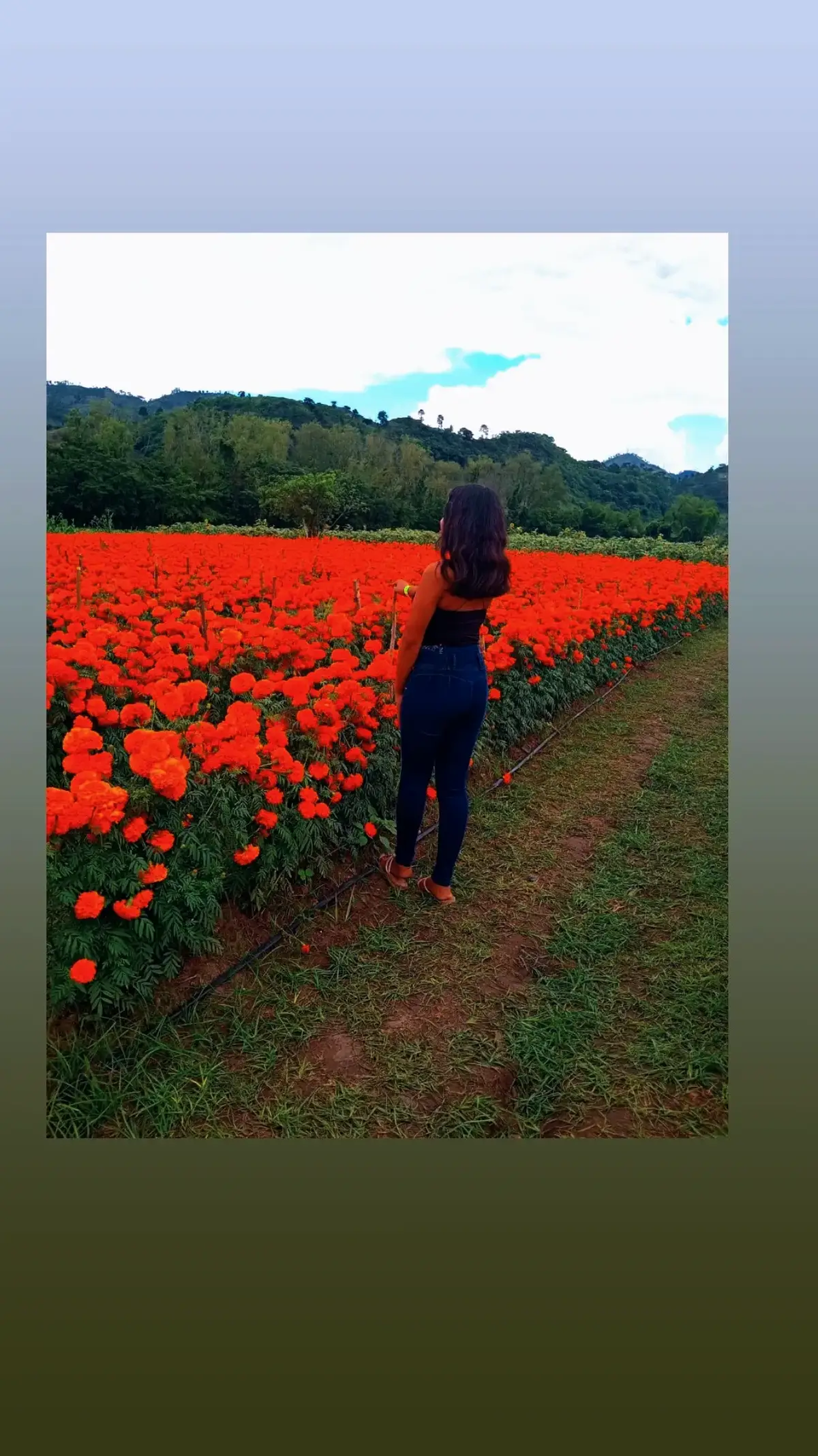 @carmensita