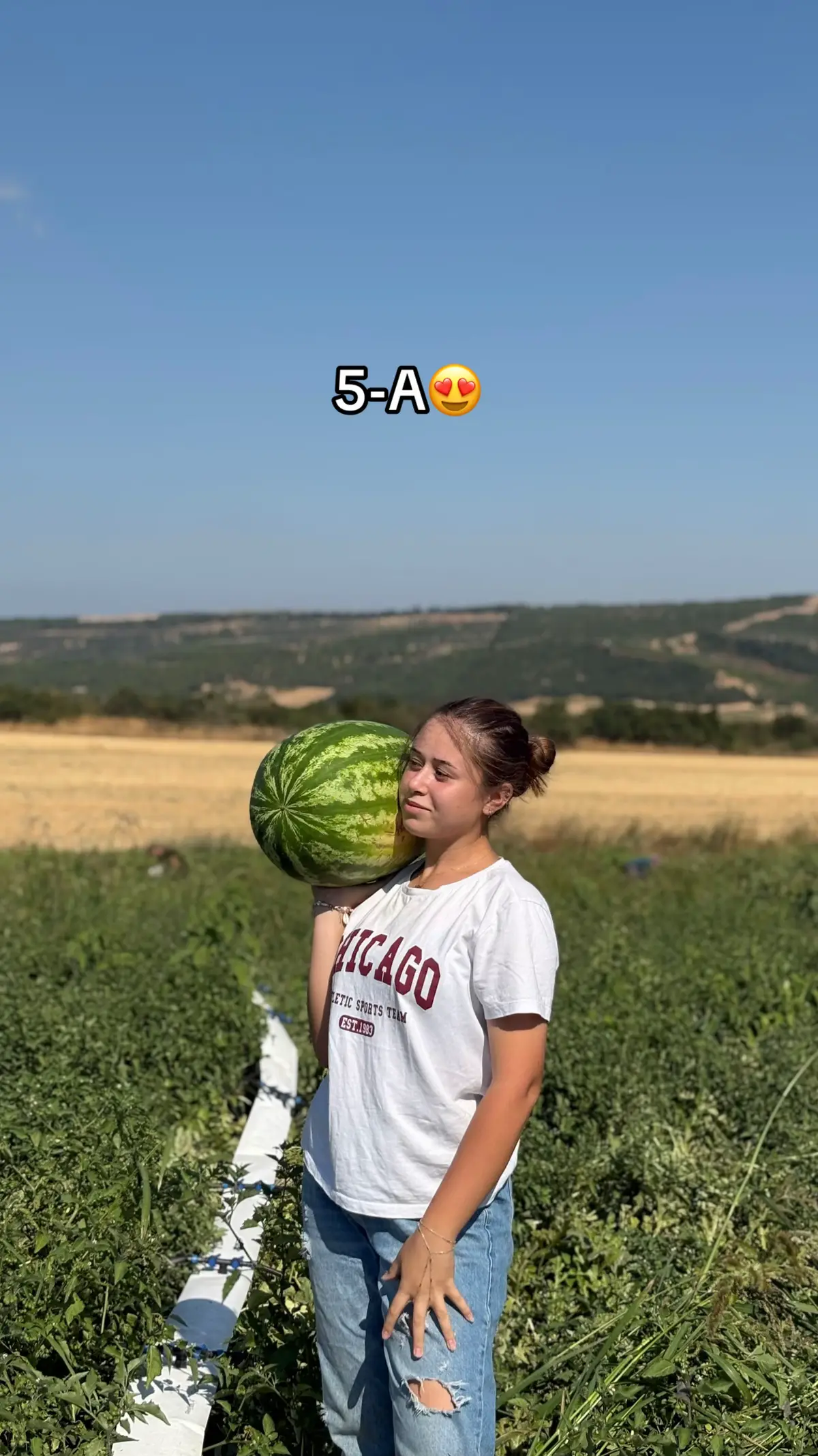 @gozde