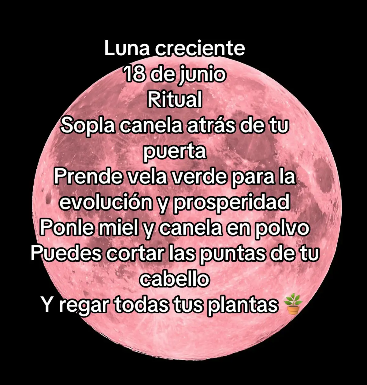 @sandyeleguacita