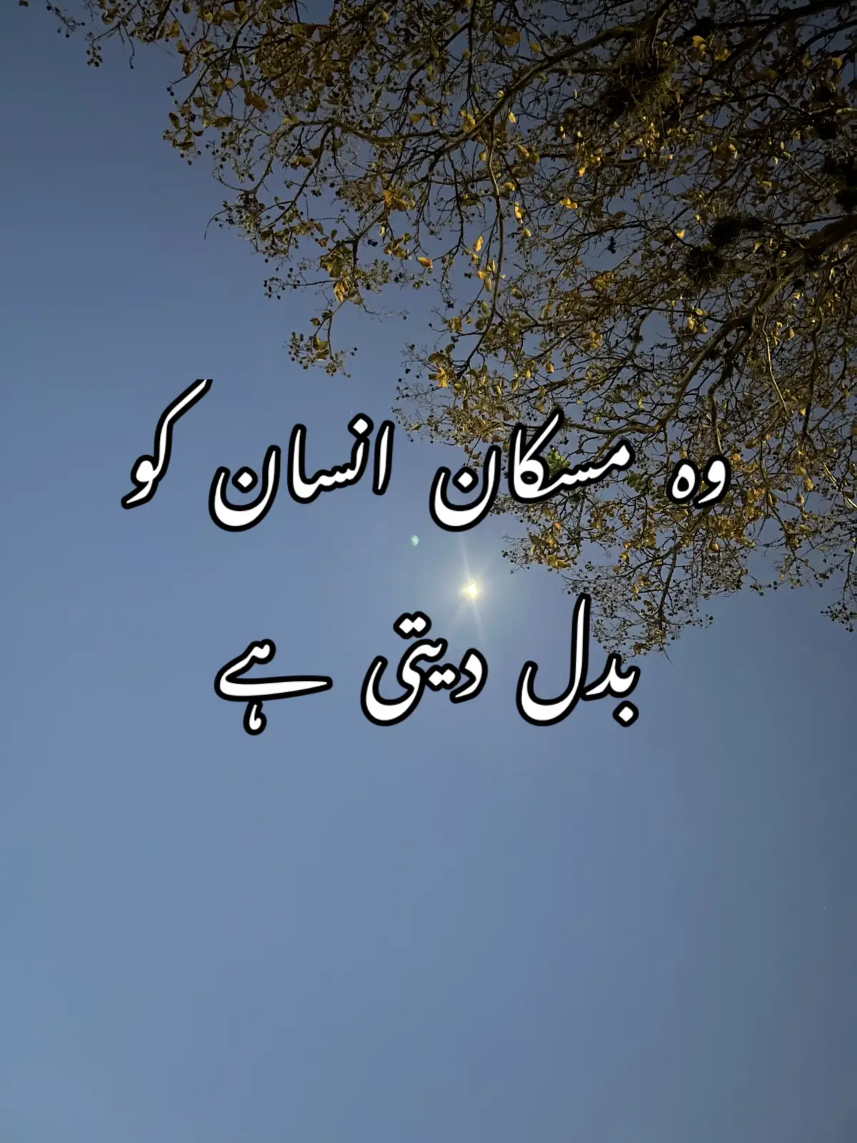 @ZaraHayat020104