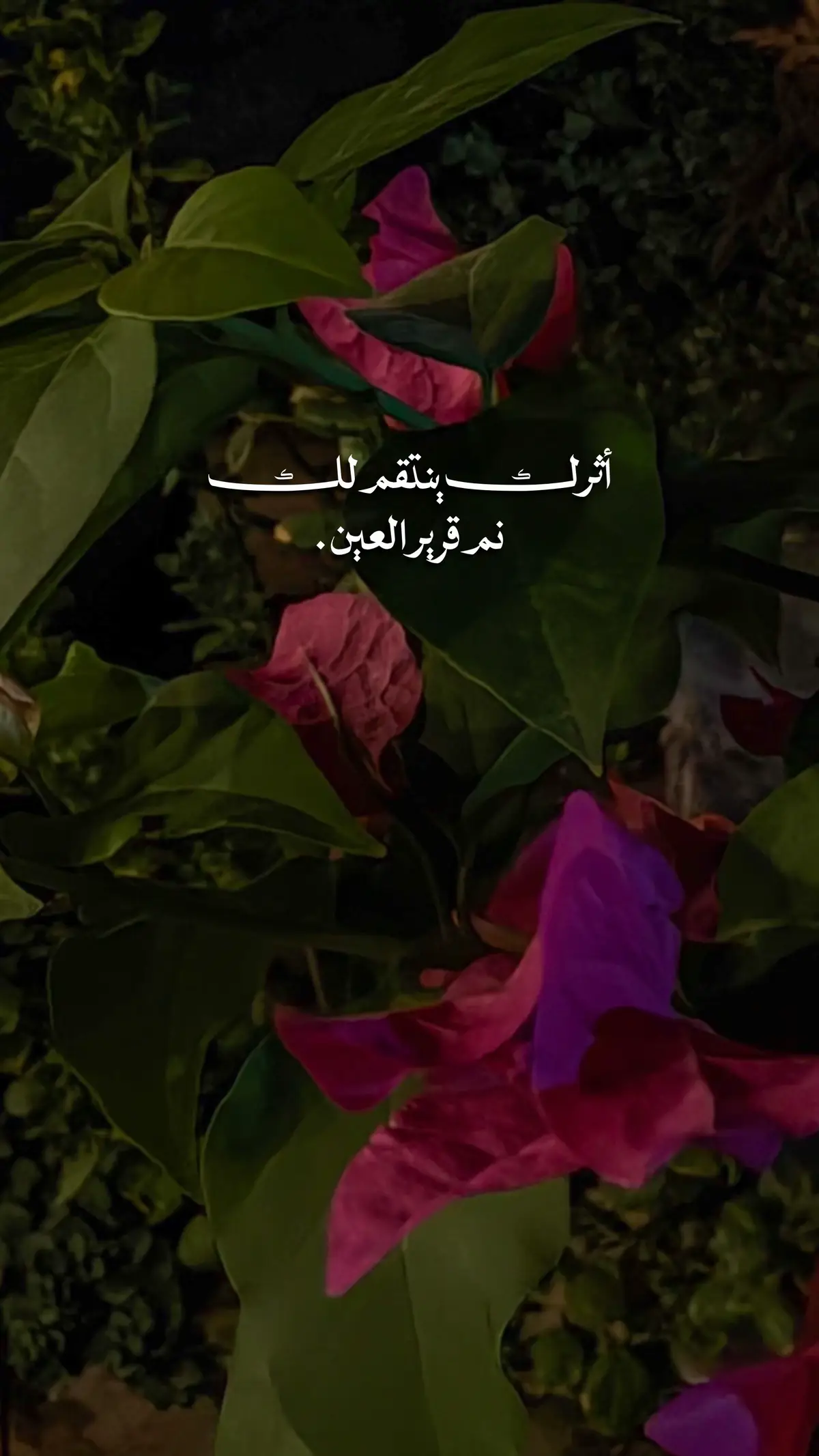 @عَبدالرَّحْمٰن