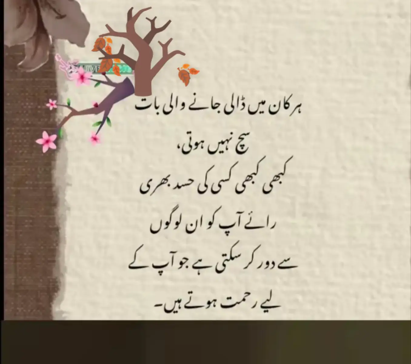 @ZAIN_89🖤