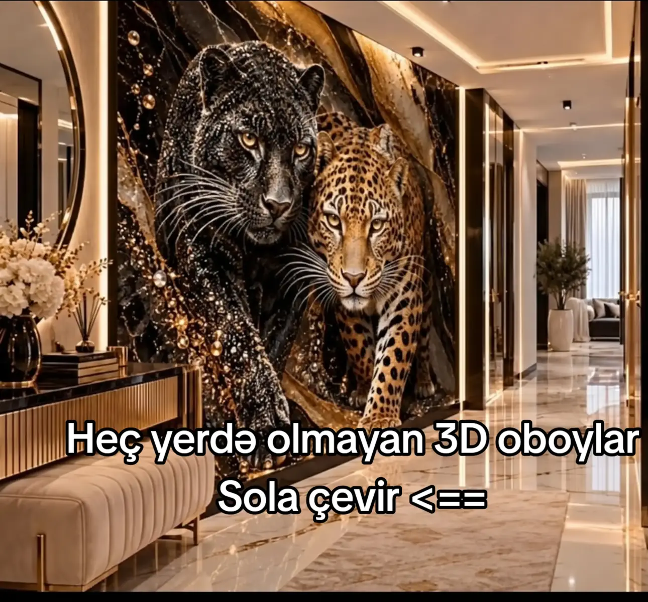 @3D.oboy.az