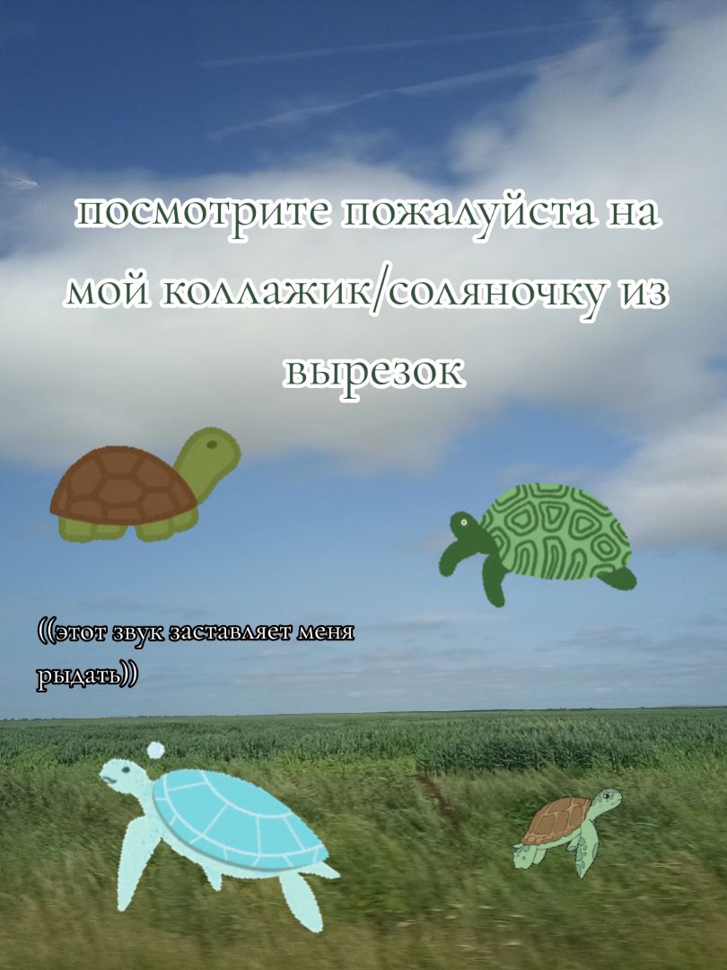 @별Мōрсэээ