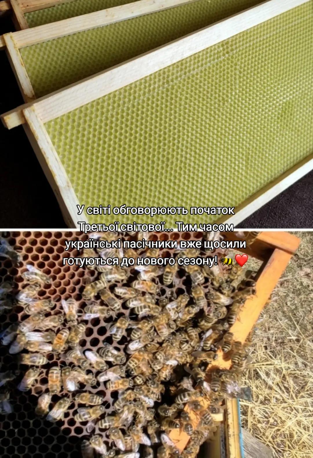 @Аля🐝