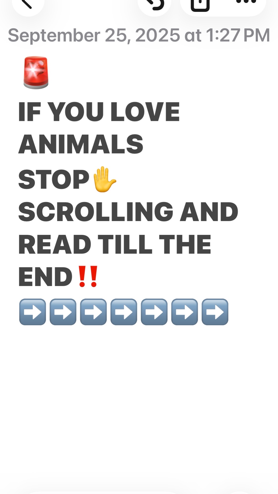 @Natasha Shainsky