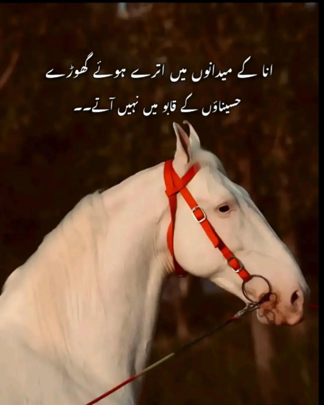 @Aftab_bacha_46 👑