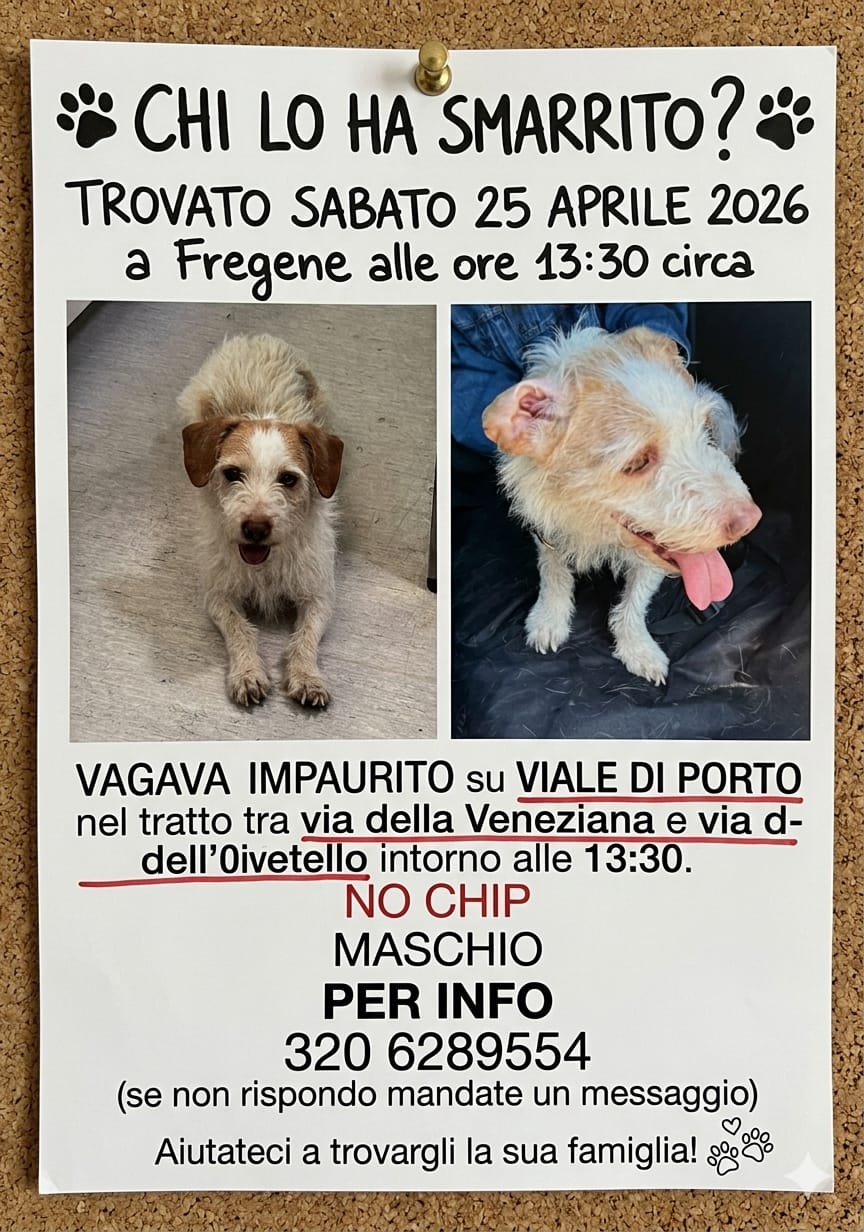 @code felici