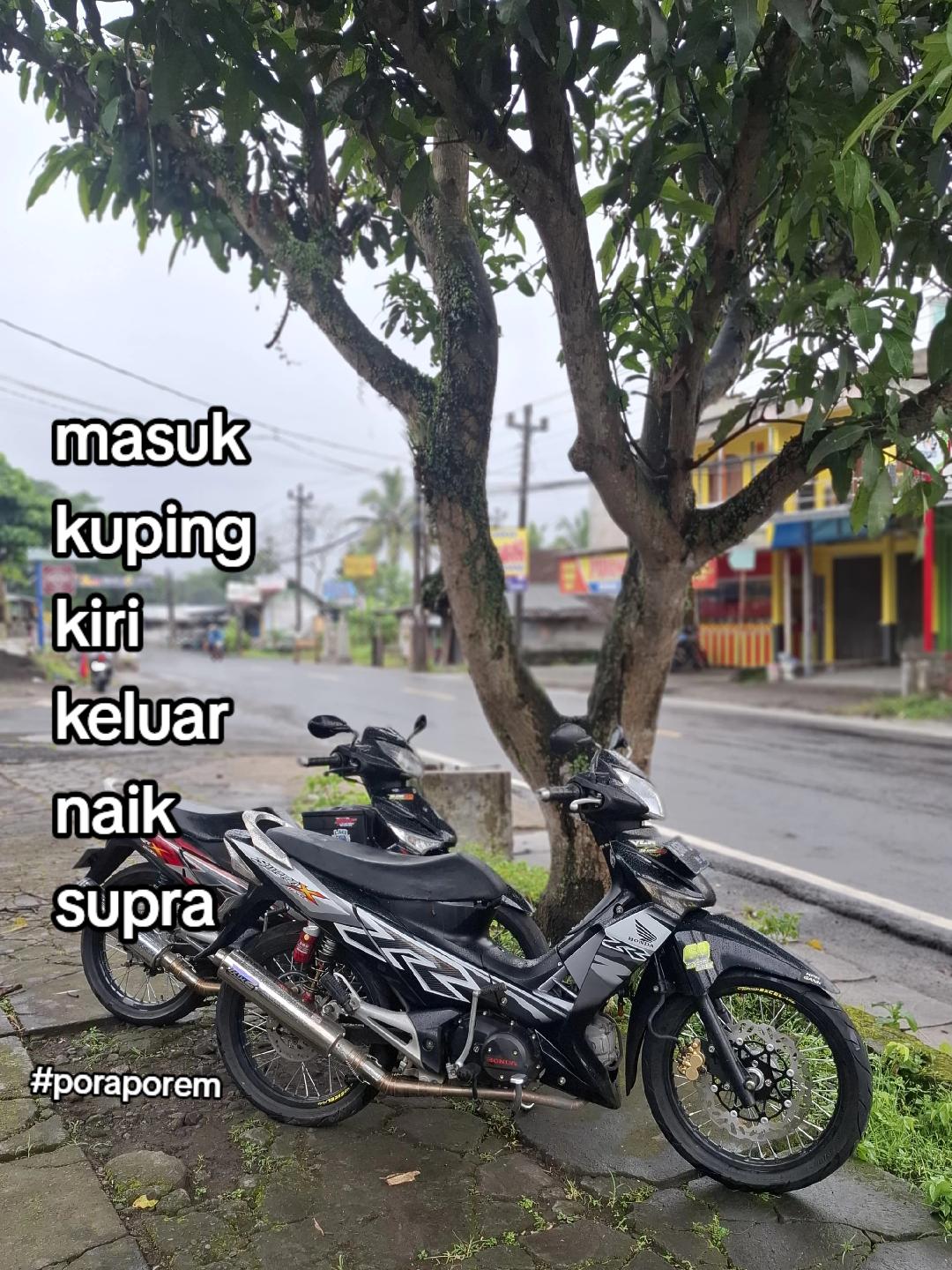 @rejasfaaa