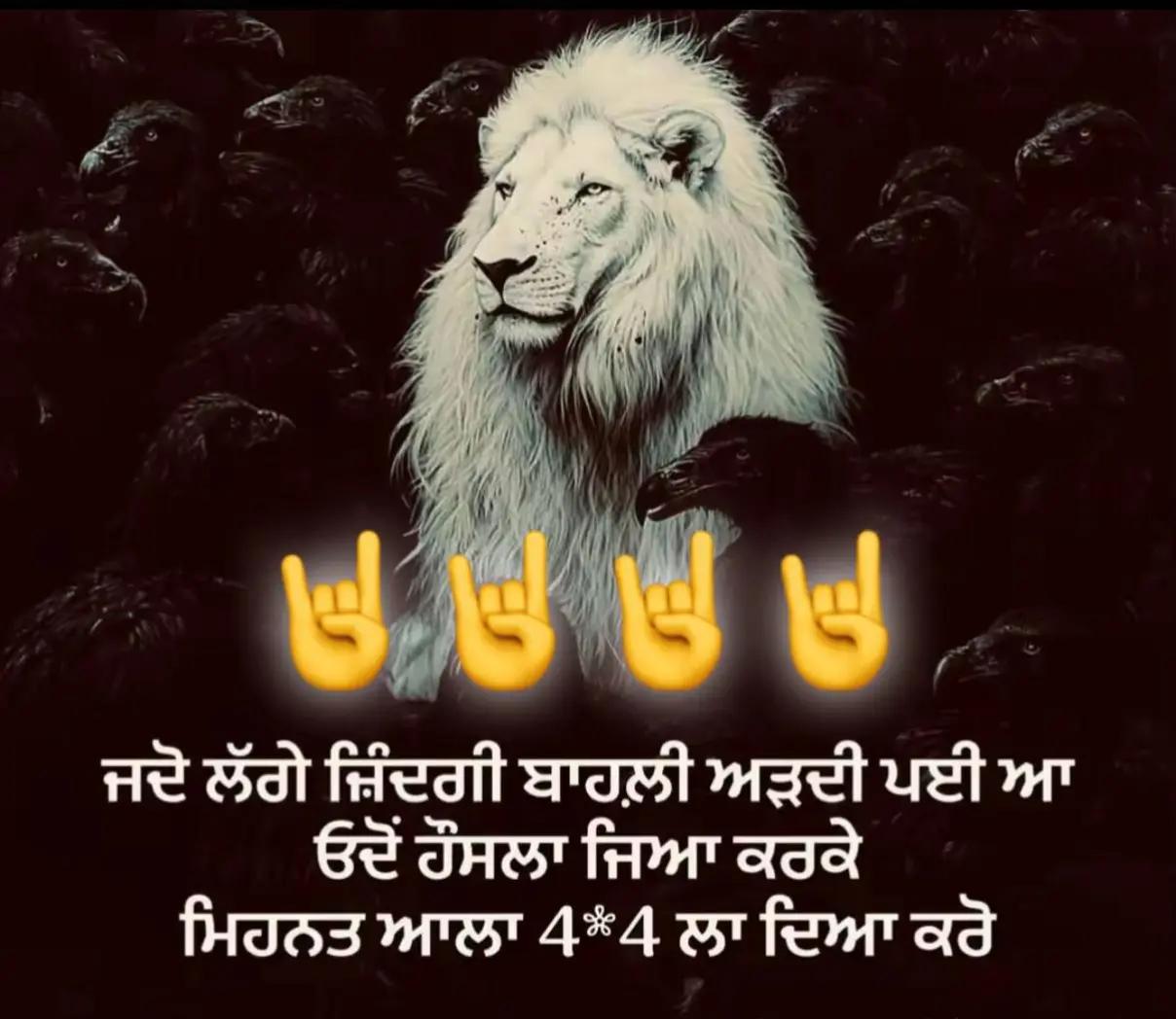 @harry Cheema