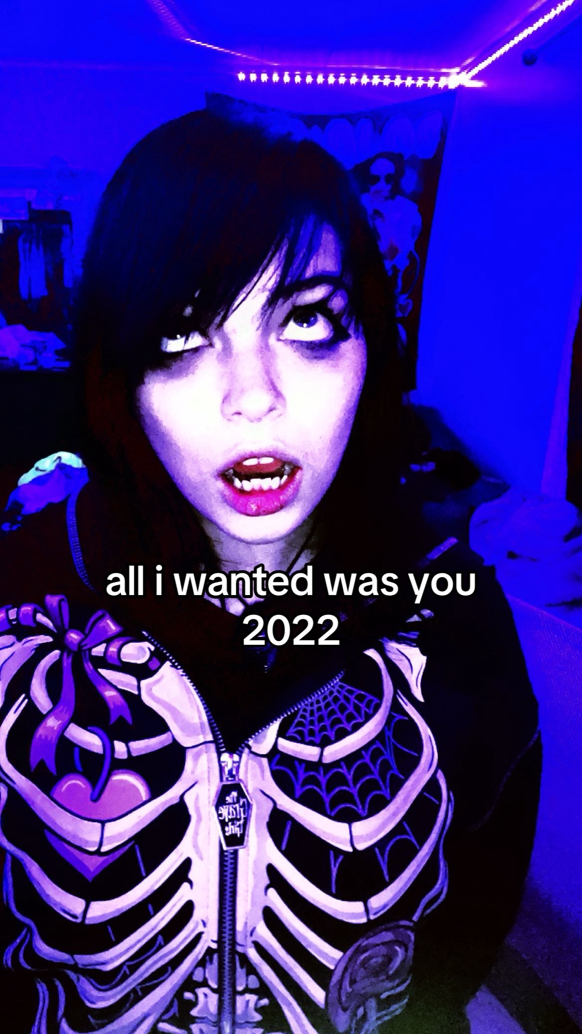 @🕷️