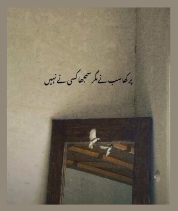 @manish Riaz292