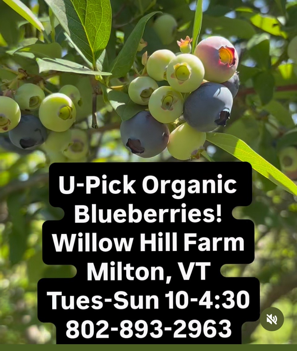 @Willow Hill Farm