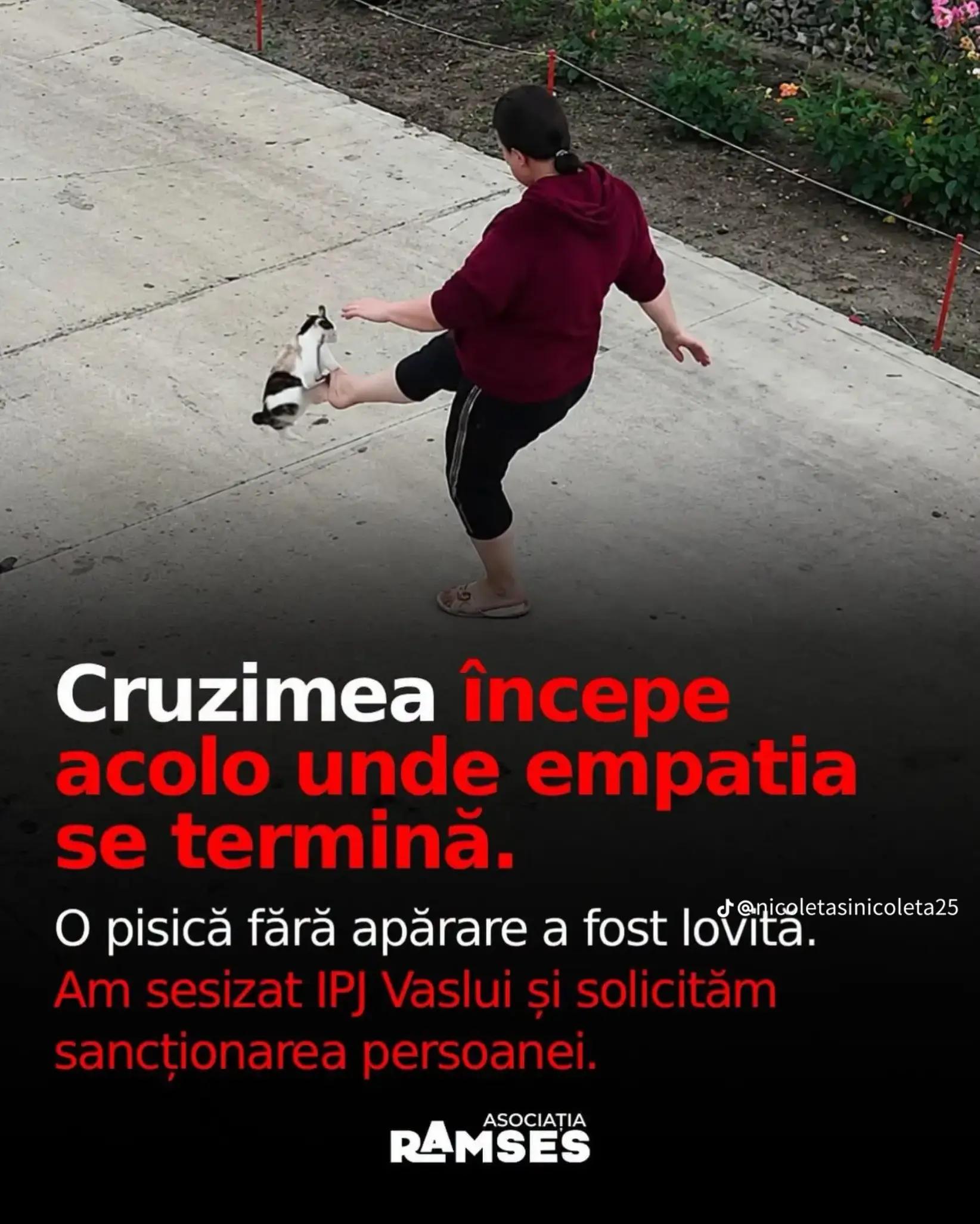 @Nevasta lui Botea Laurențiu