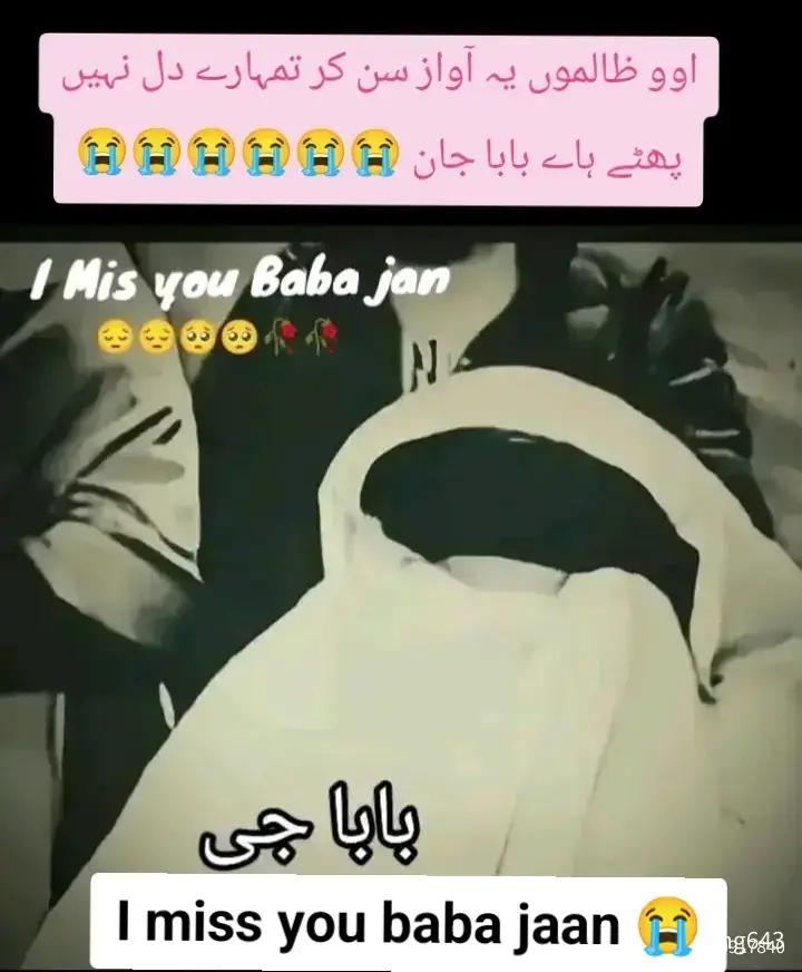 @رضوی کہتے ہیں جناب🇵🇰🇸🇦