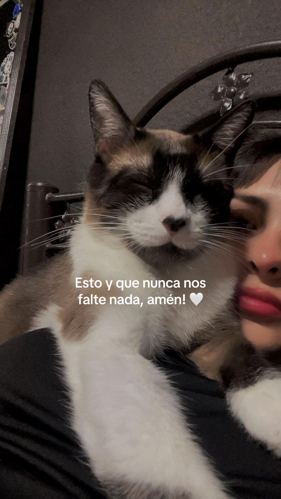 @lagitanaaa