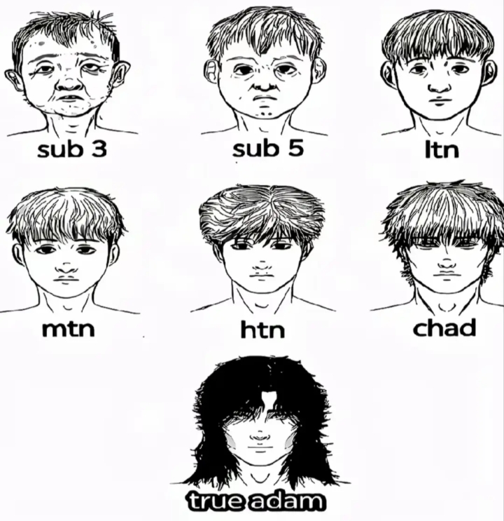 @Amir