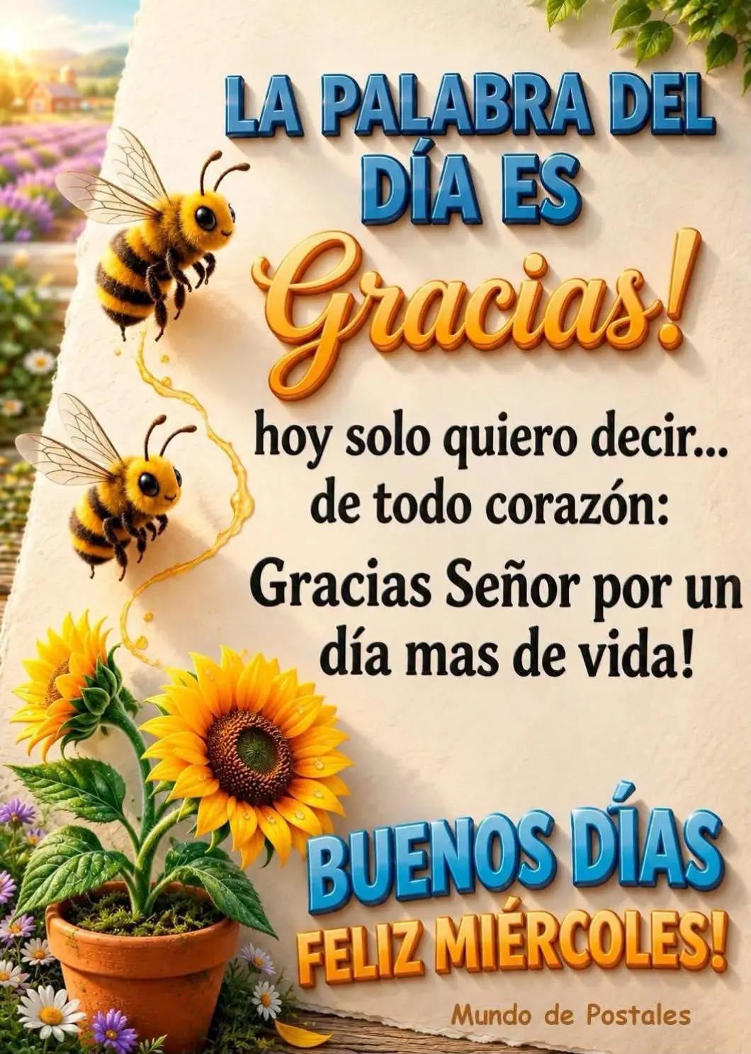 @nydiavazquez