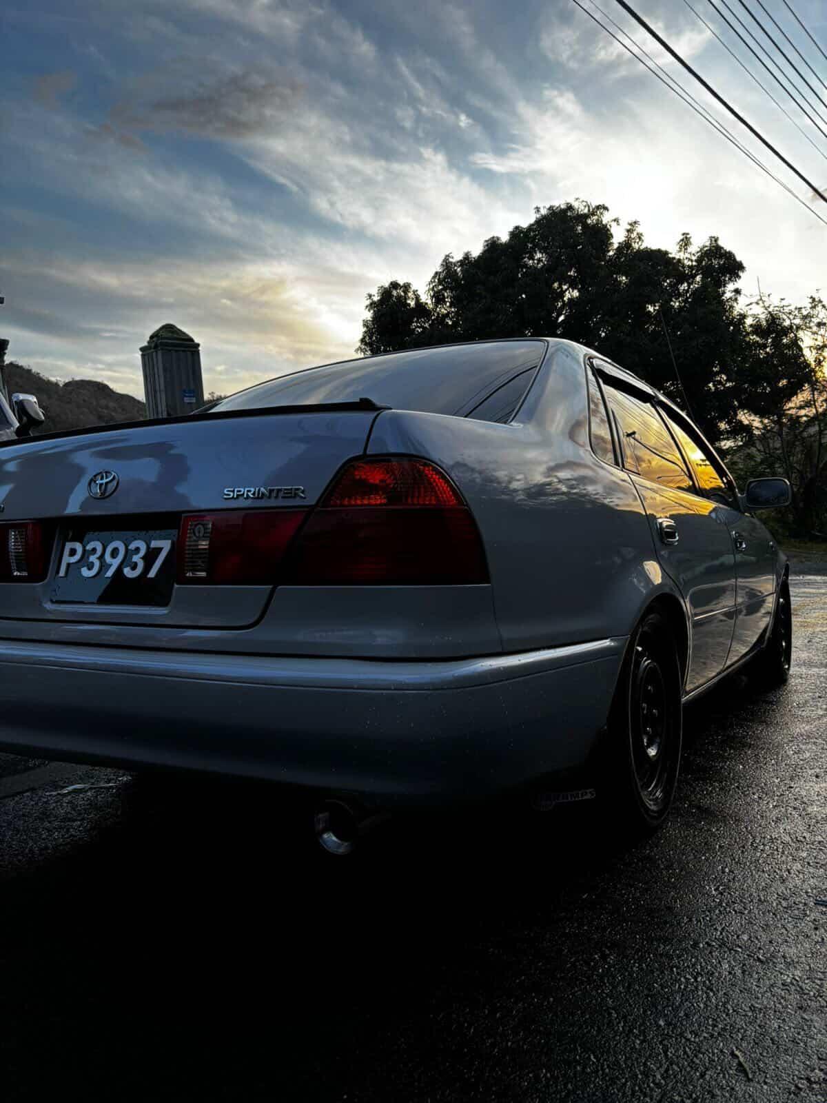 @vincycarculture_
