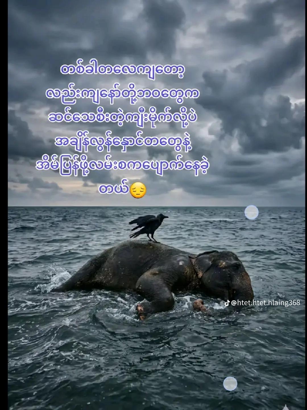 @ð²ð²Chit Koð¥áá±á
ááŒáá¯áá¬ážð²ð²