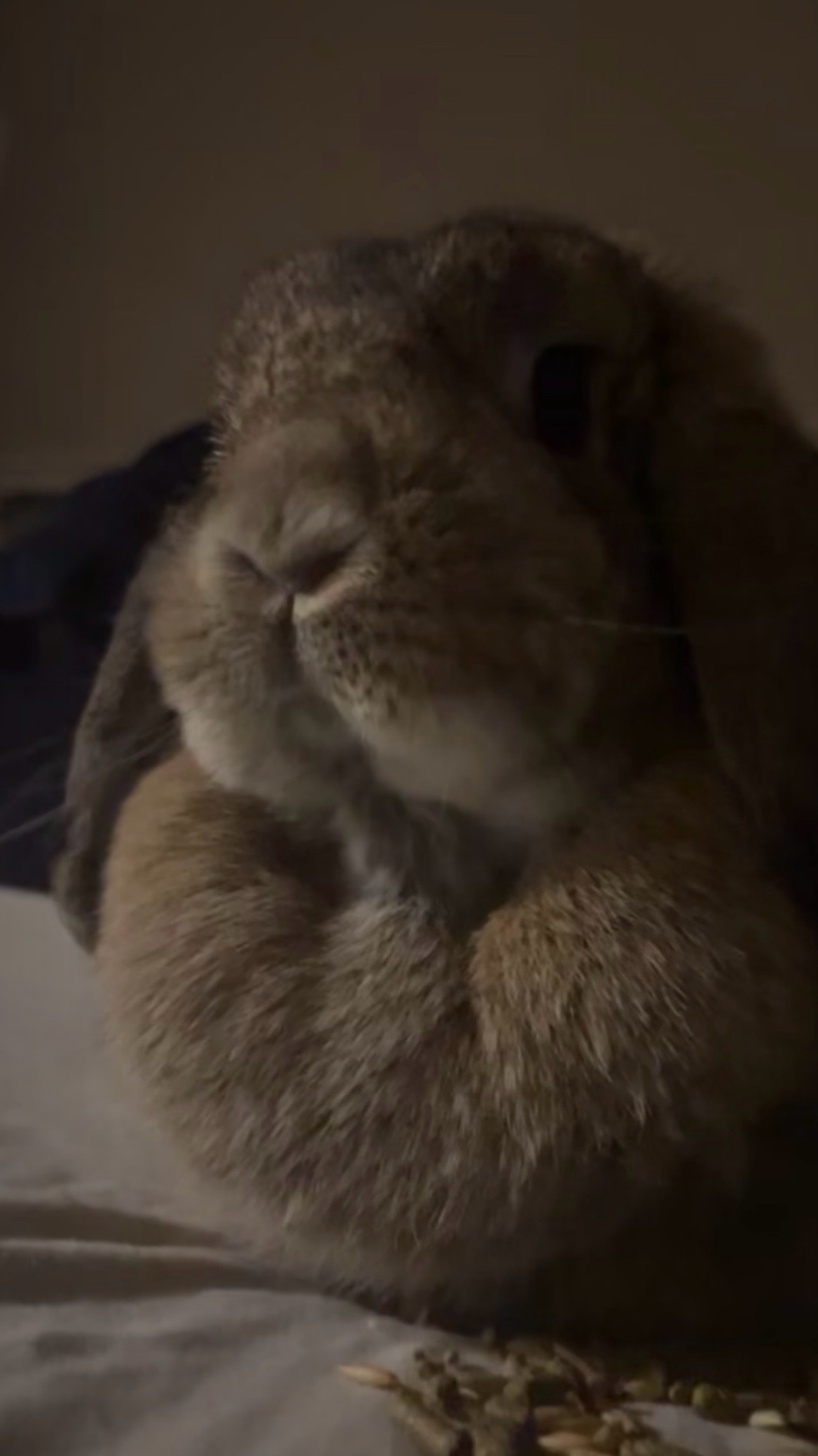 @Fadedbunny69