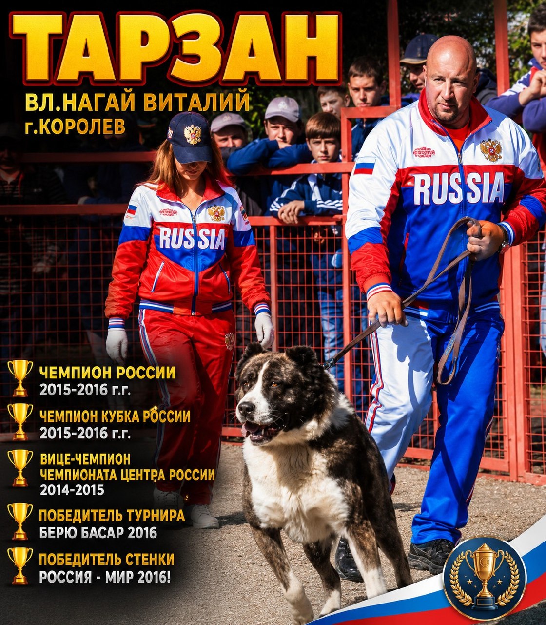 @Собачьи Легенды
