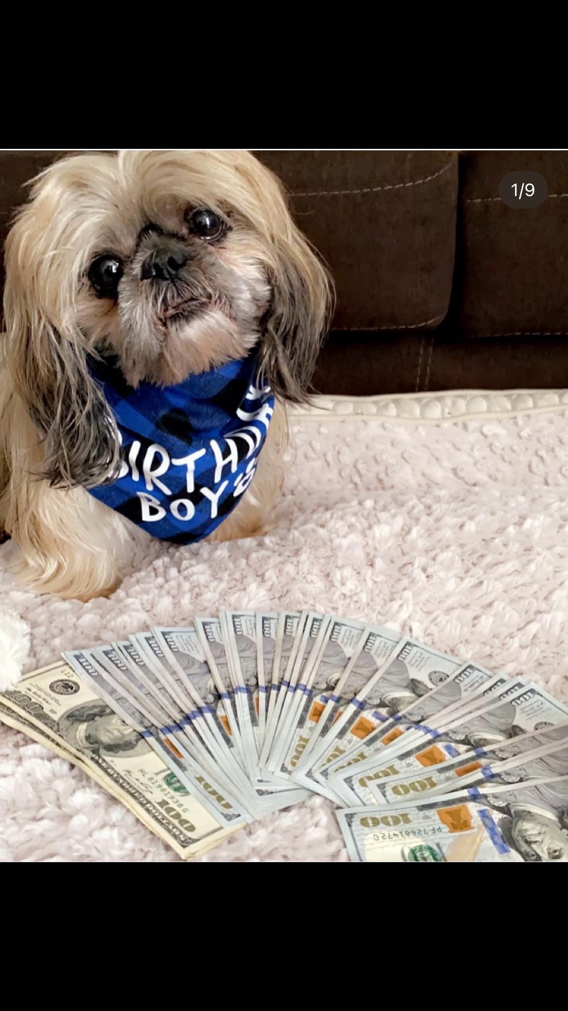 @CashmommiVacs