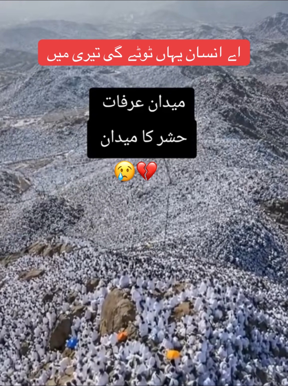 @︻²³⁶╦デ╤━امنی موہل╼☠༻꧂