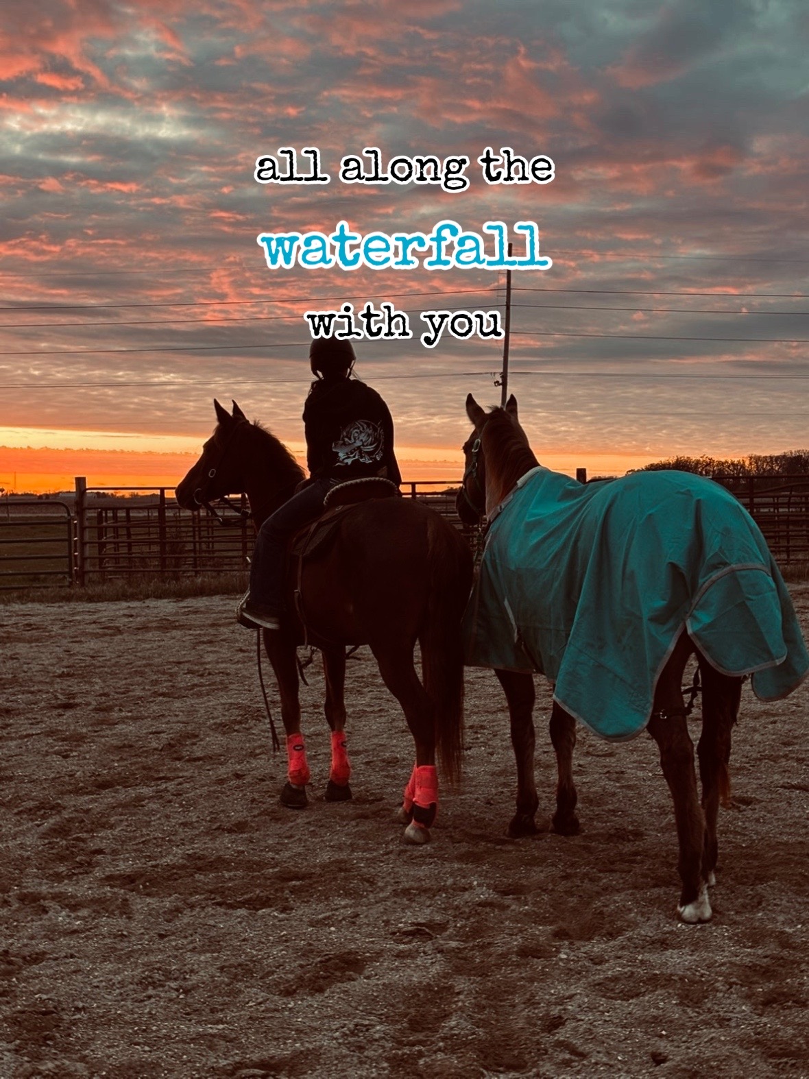 @lailah n taz