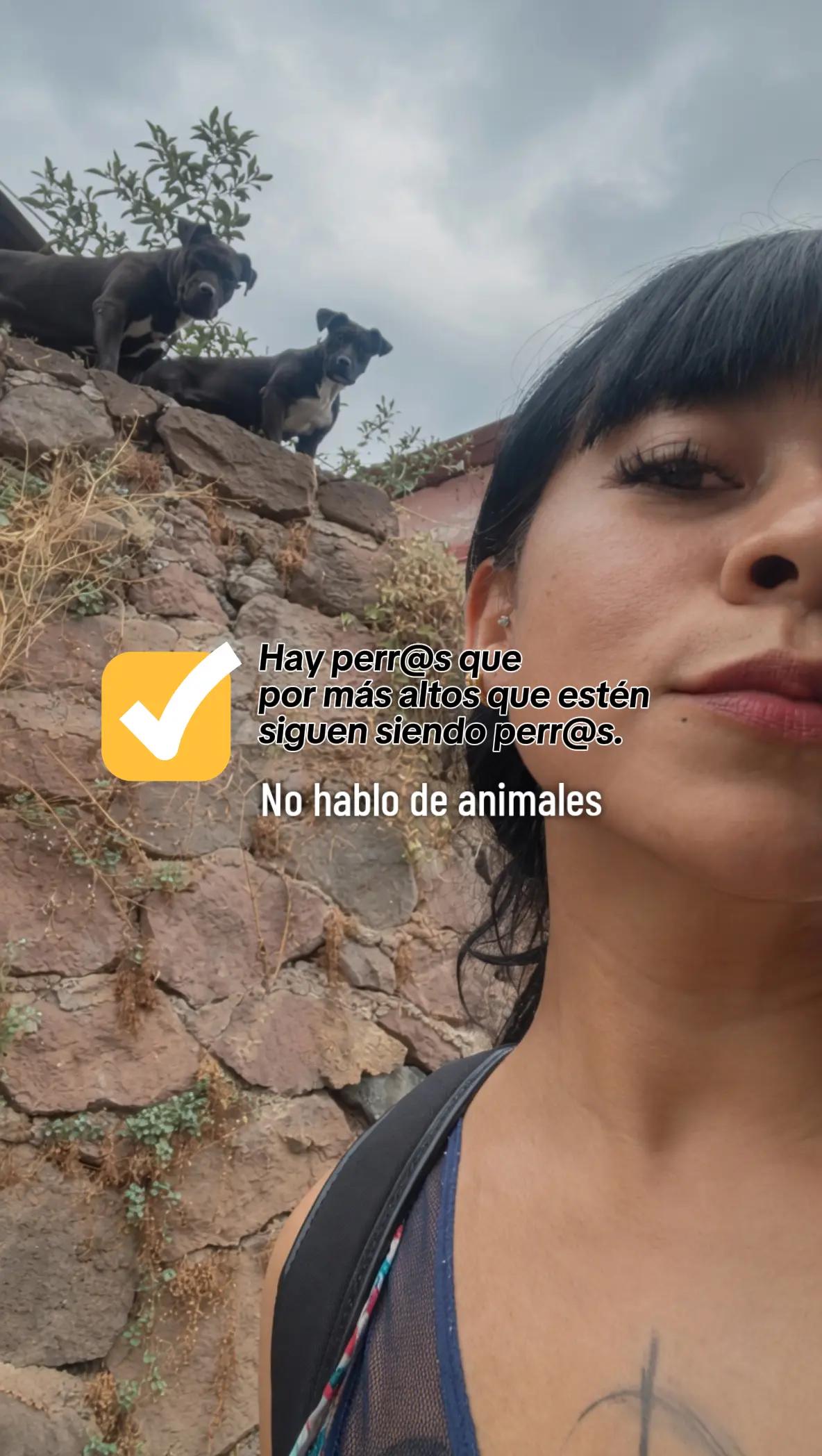 @Verito 🐝🐉