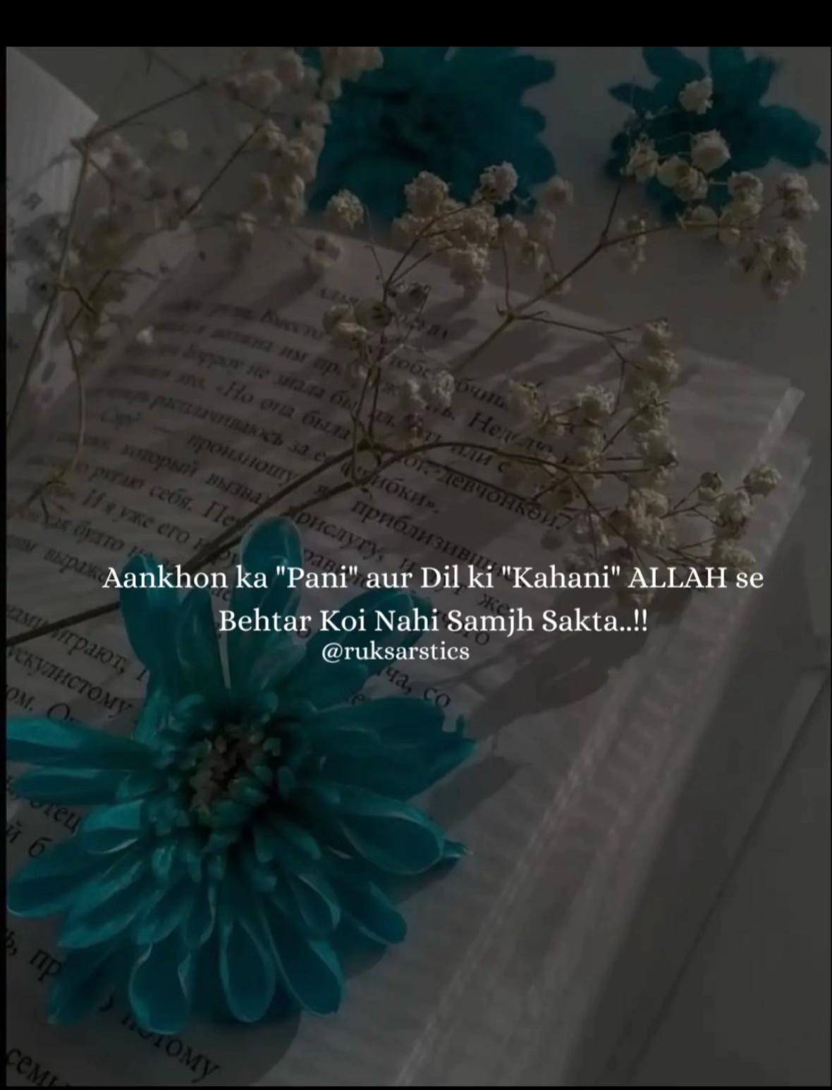 @Rizwana