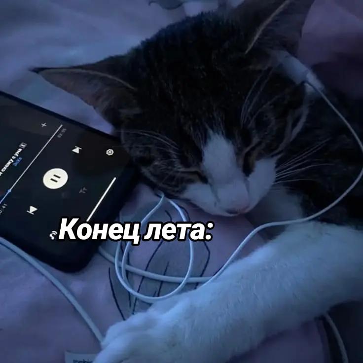 @💕Сестра Солдата🪖