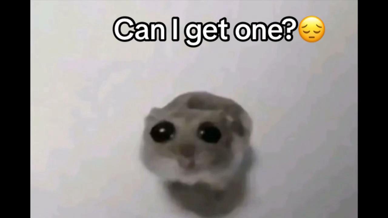 @I like poco