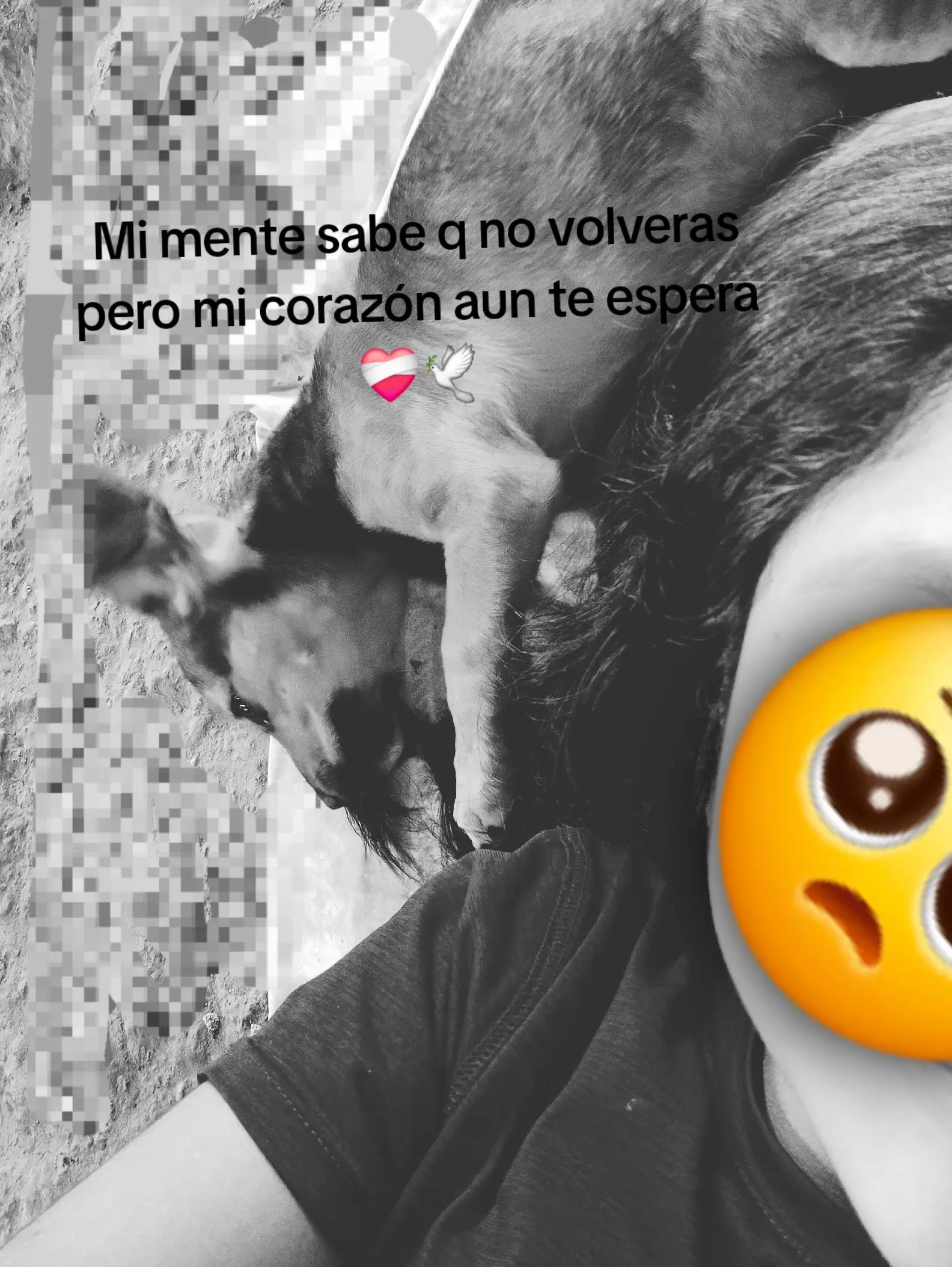 @🐇*CELESTE*🐇