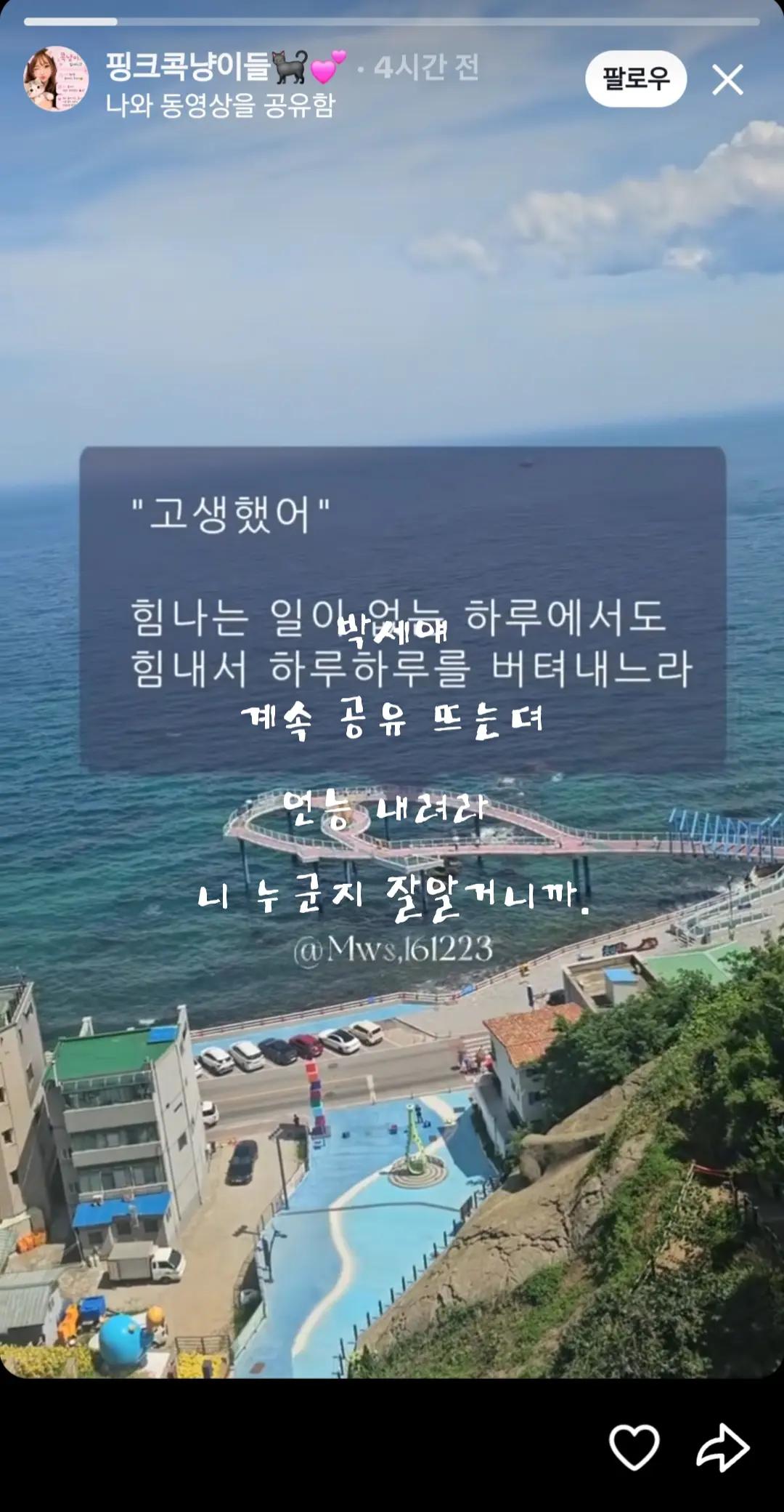 @@냥이글