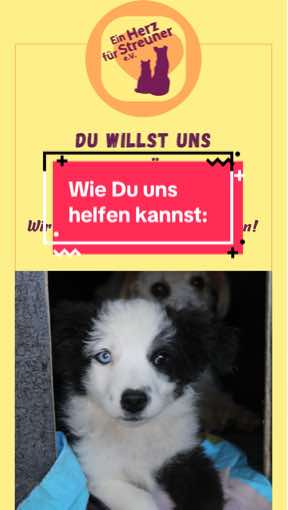 @Ein Herz für Streuner e.V.