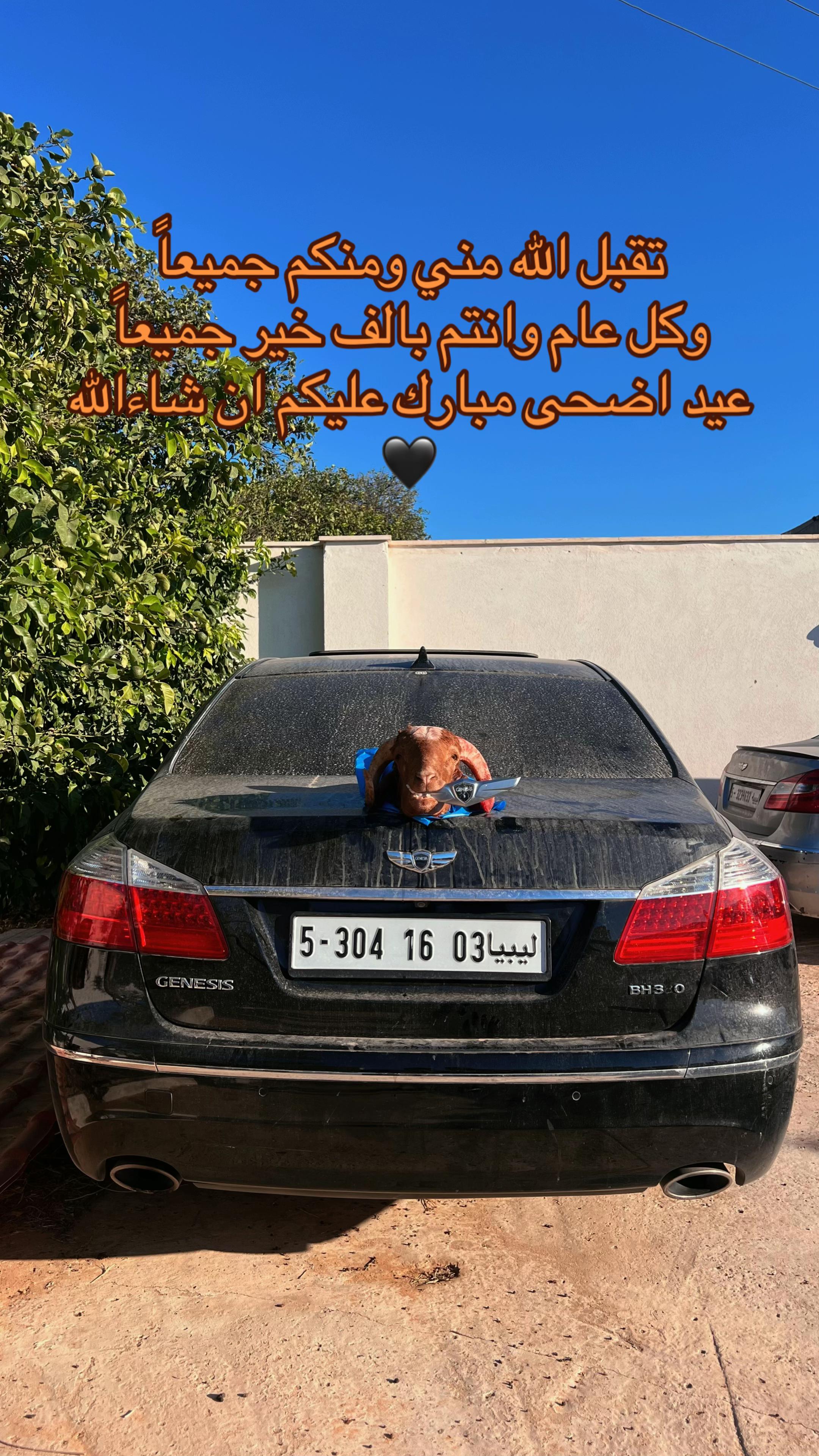 @أحمد الشرع | 68 🇱🇾 ⚜️Ahmed