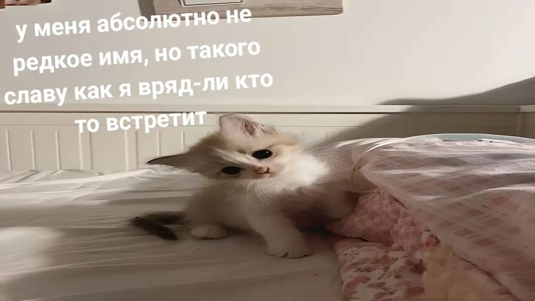 @RESK
