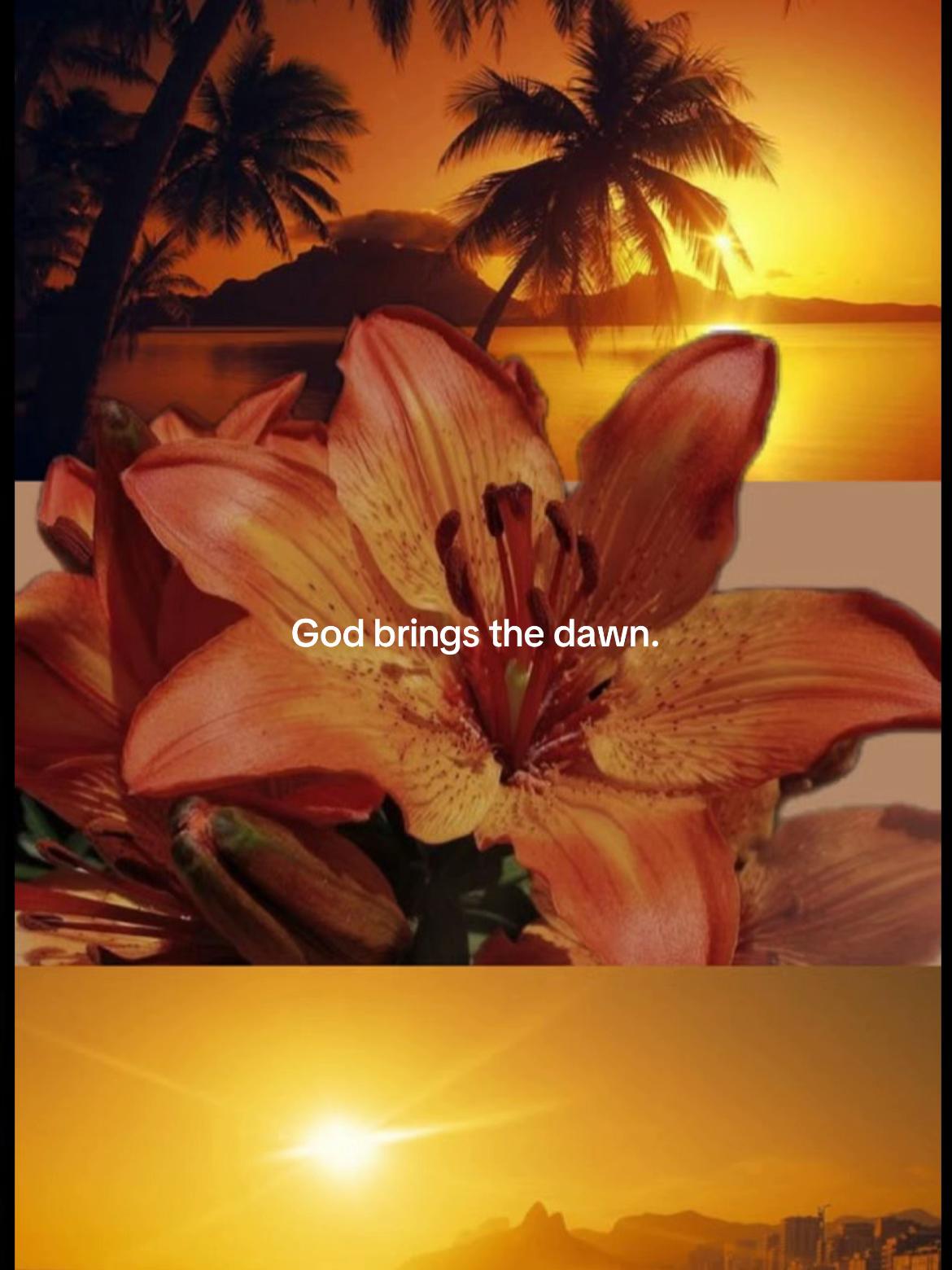 @islam.for.your.soul