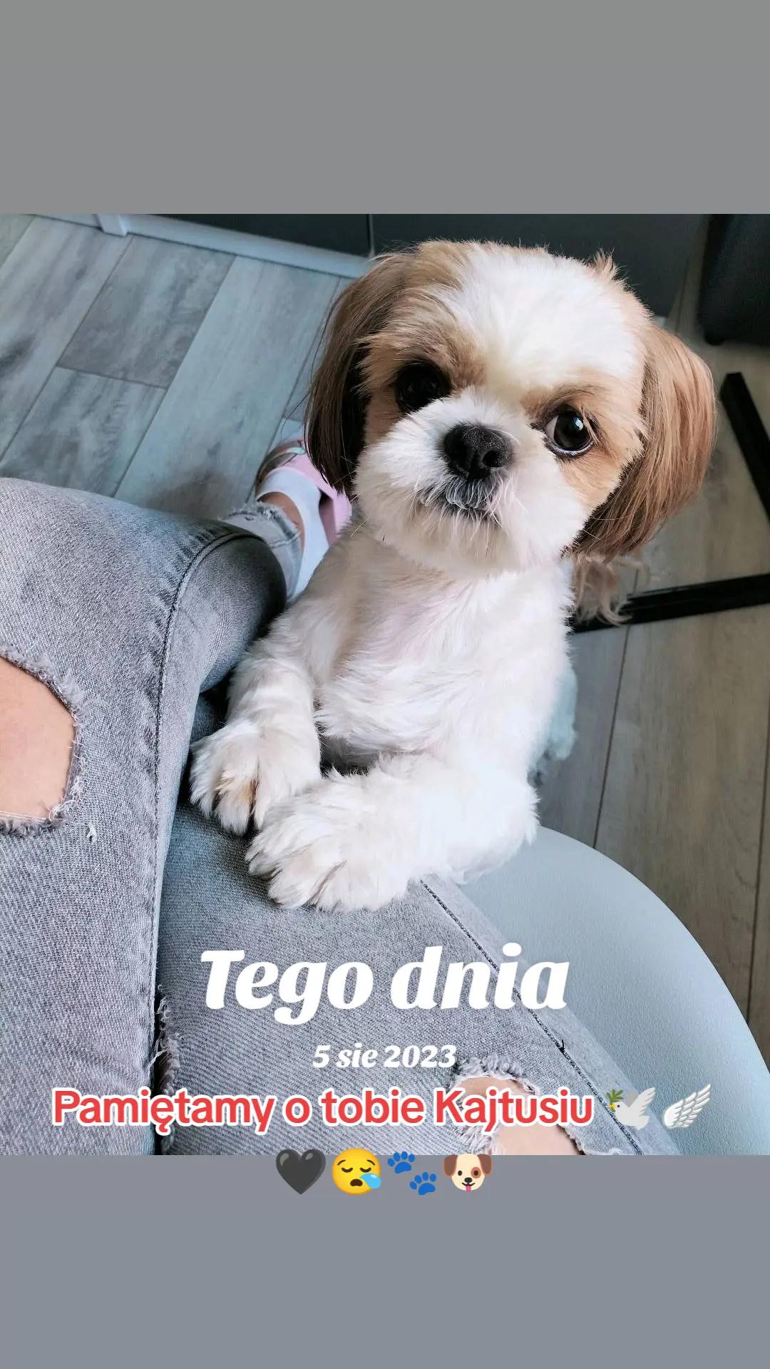 @Mirabelka 🍀