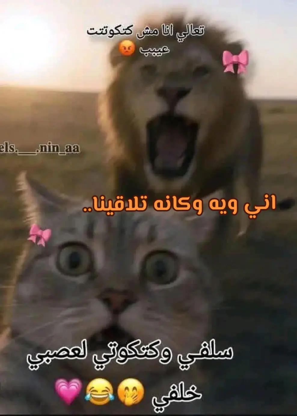 @a,,,,R,,A,,r๐ทโค๏ธ๐ฉน