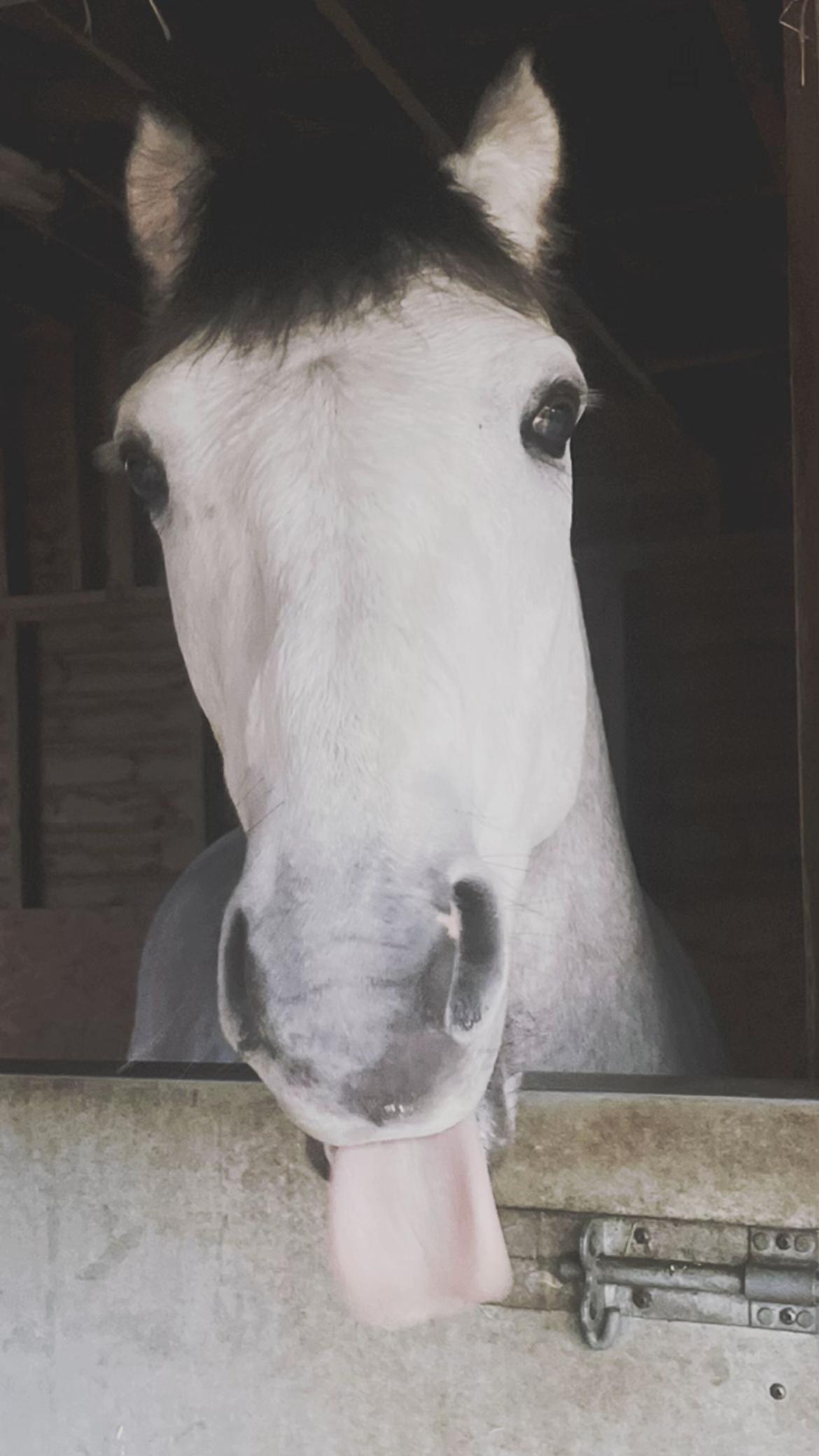 @Chloe Naylor
